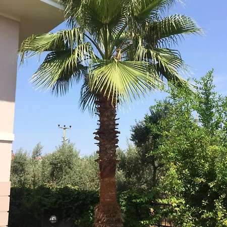 Apartamento A 5-bedroom Duplex With A Swimming Pool And A Garden Fethiye